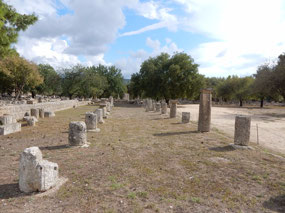 Column Rows