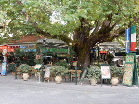 Restaurants