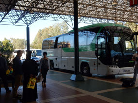 Bus to Athens