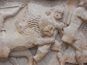 Fighting Lion