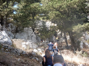 More Climbing