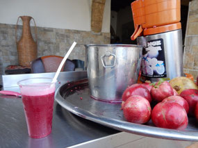Juice Cup