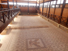 Platforms