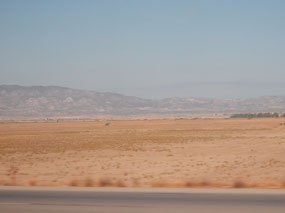Flat Terrain