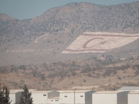 Twin Flags