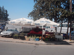 Vendor