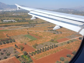 Red Fields
