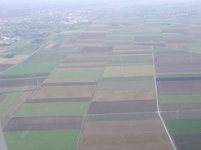 Square Fields