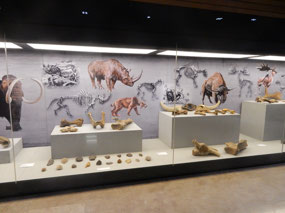 Prehistoric