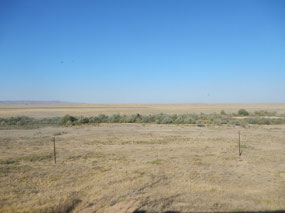 Country