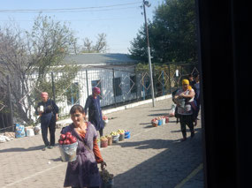 Vendors
