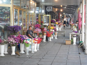 Flower Market