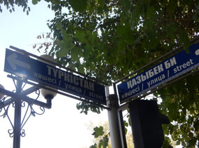 Turkestan St