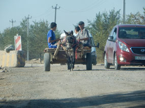 Donkey Cart