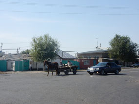 Donkey Cart