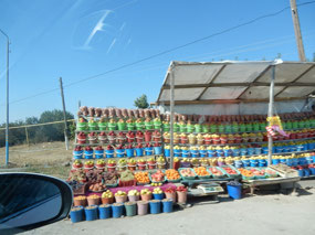 Fruits