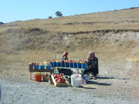 Vendor