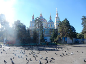 Pigeons