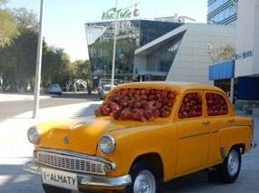 Tourist Car