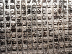 Skulls