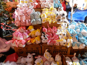 Animals