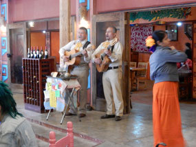 Musicians