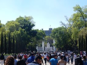 Crowds
