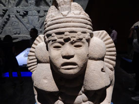 Head