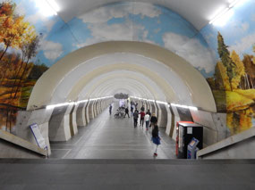 Platform
