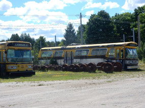Retro Buses