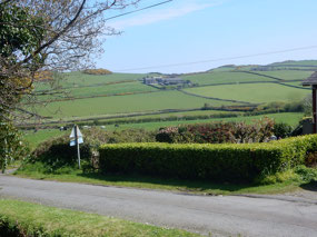 Fields