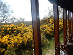 Spring Colours