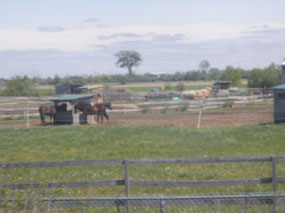 Farm
