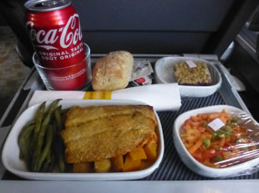 Salmon Lunch