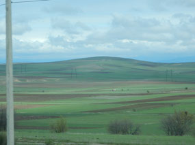Landscape