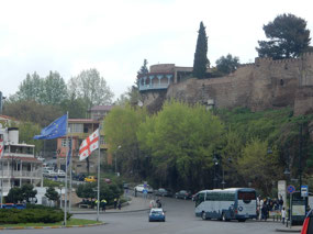 Hillside Palace
