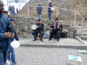 Musicians