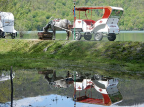 Reflection