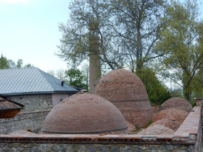 Domes