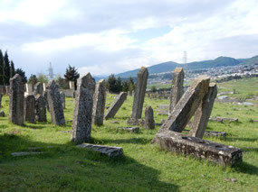 Crooked Stones