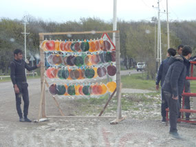 Dried Fruit