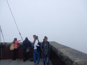 Fog View