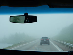 Fog