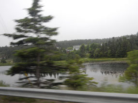 Lakes