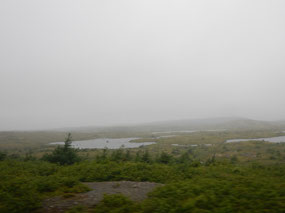 Terrain