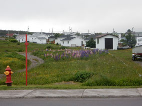 Homes