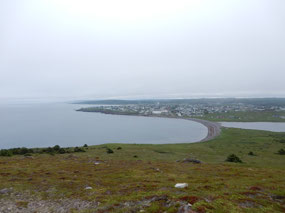 View Back