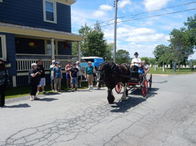 Horse Carriage