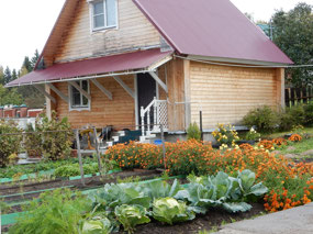 Vegetable Garden