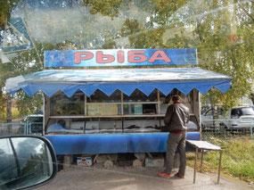 Fish Stand